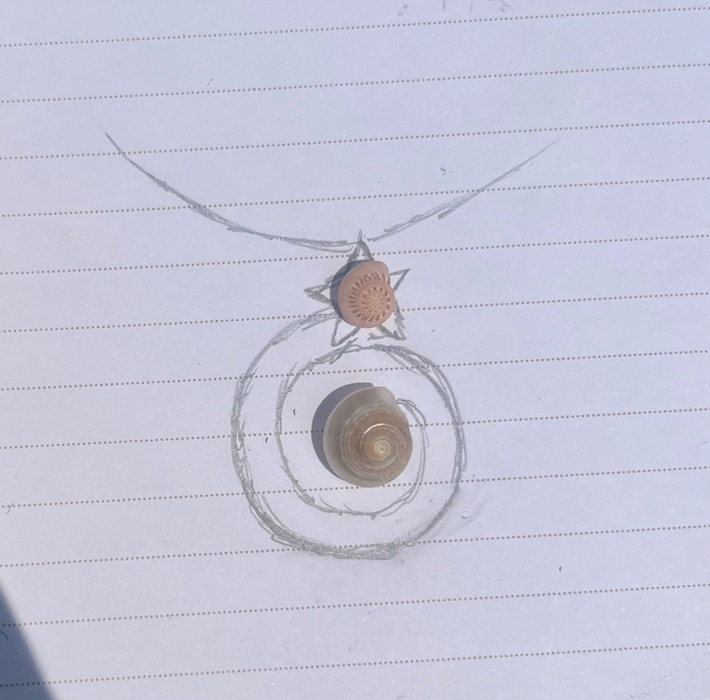 Custom Shell Spiral