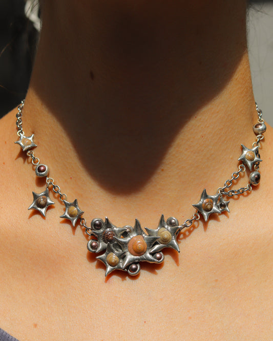 Pearl Shell Cluster