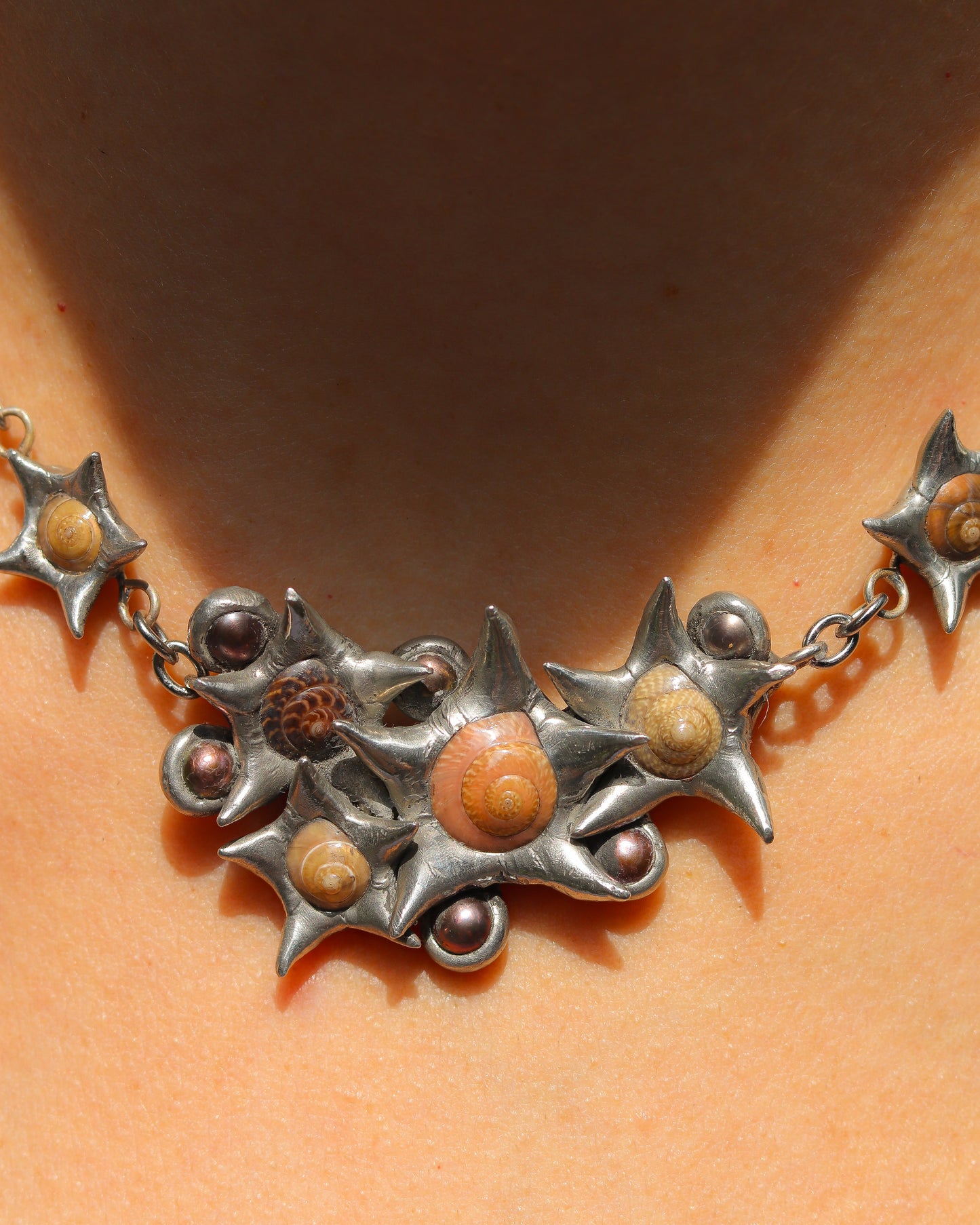 Pearl Shell Cluster
