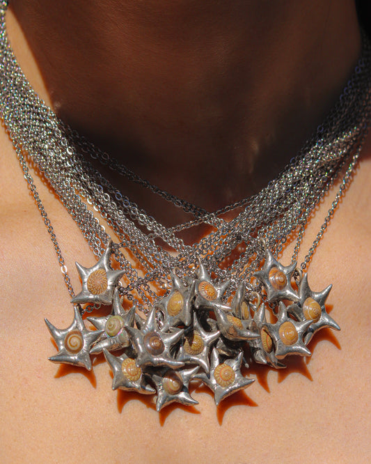 Surprise Shell Star Necklace!